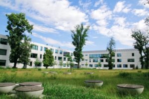 Park - tereny zielone szkoły